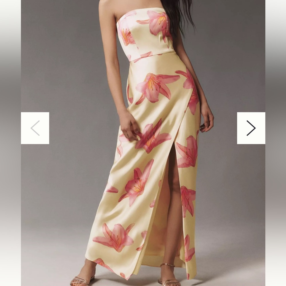 BHLDN Aviana Maxi dress